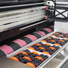 CMYK Color Printing Machine Corrugated Box Digital Printing Machine